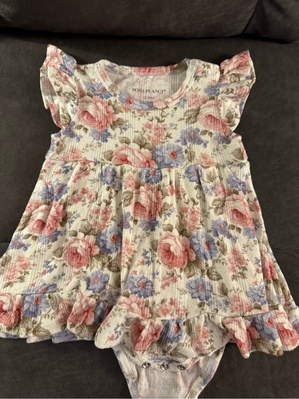 Posh Peanut Cream Floral Ruffle Dress Bodysuit - Pink & Blue Roses